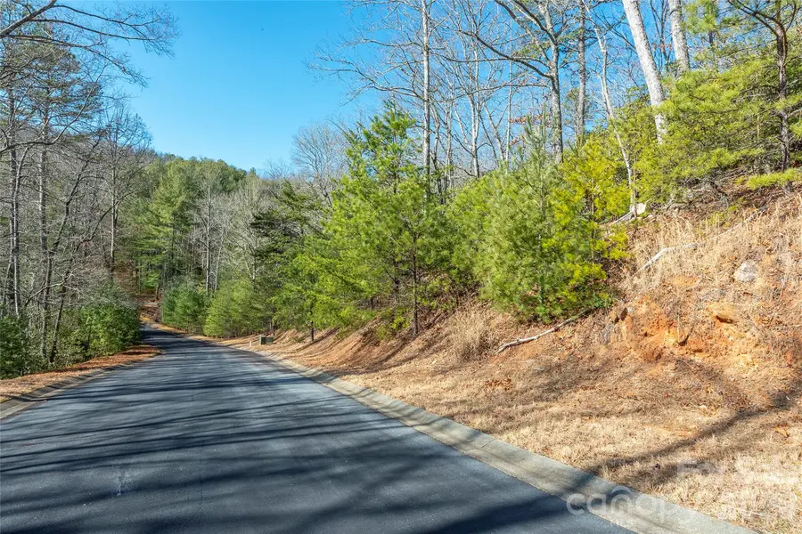 99999 Caddis Lane #92, Horse Shoe, NC 28742 - #2