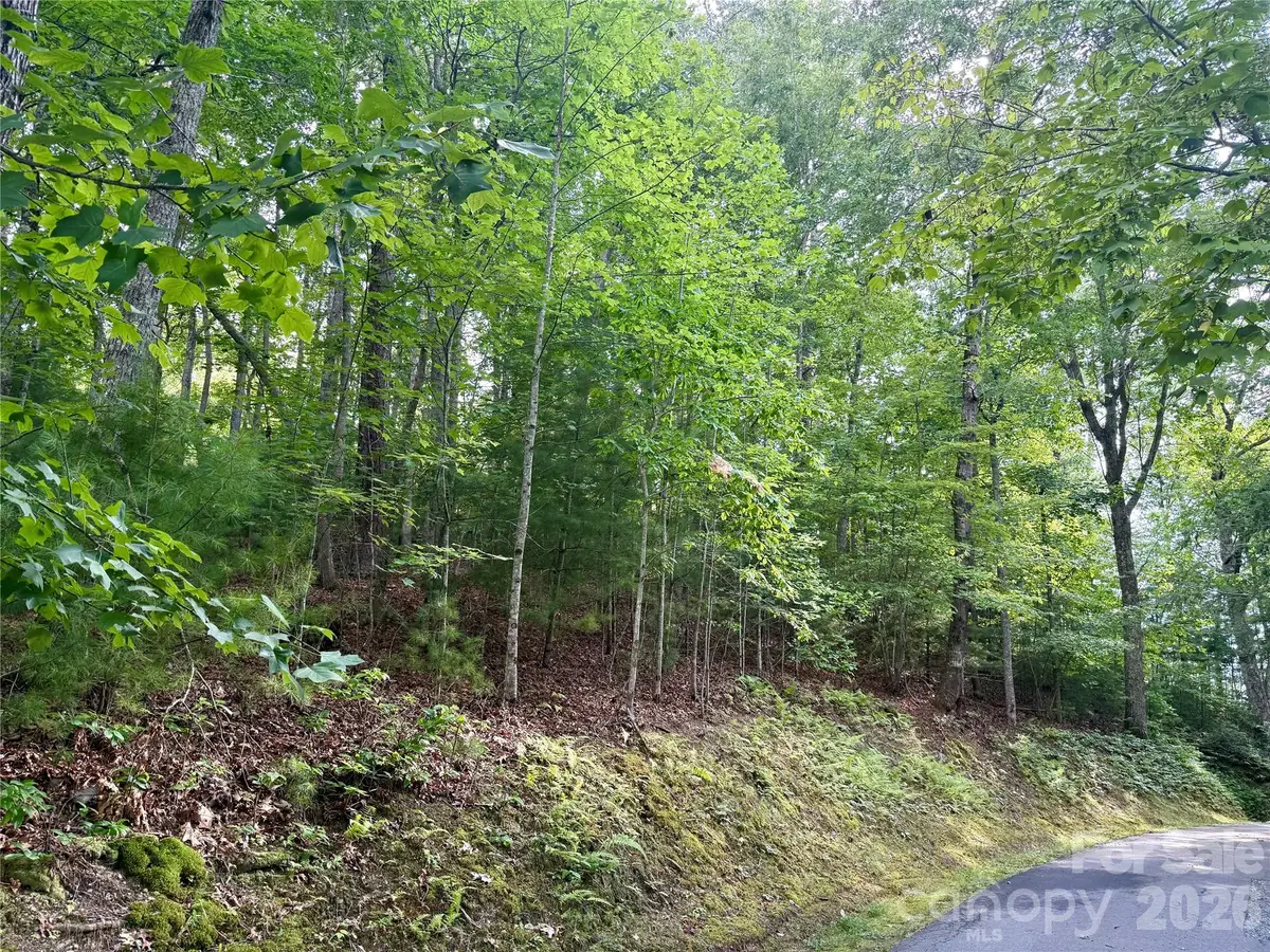 75 Longview Court #4, Marshall, NC 28753 - #1