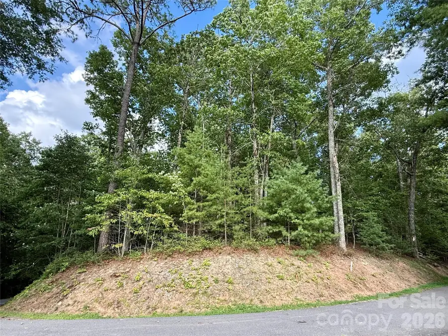 75 Longview Court #4, Marshall, NC 28753 - #2