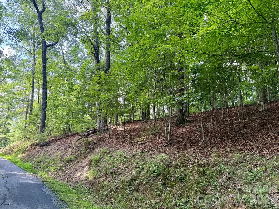 75 Longview Court #4, Marshall, NC 28753 - #3