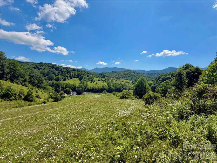 419 Fletcher Branch Road, Vilas, NC 28692 - #3