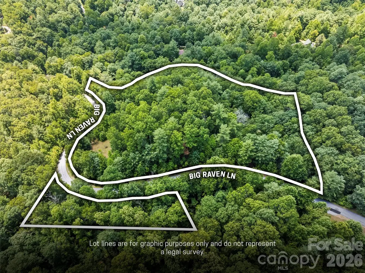 Lot 21 Big Raven Lane, Saluda, NC 28773 - #1