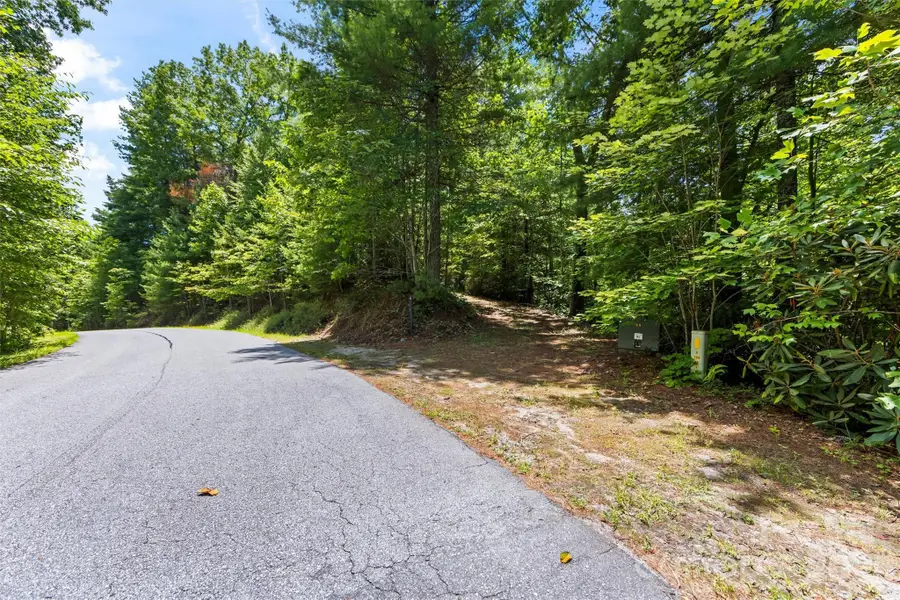 Lot 21 Big Raven Lane, Saluda, NC 28773 - #3