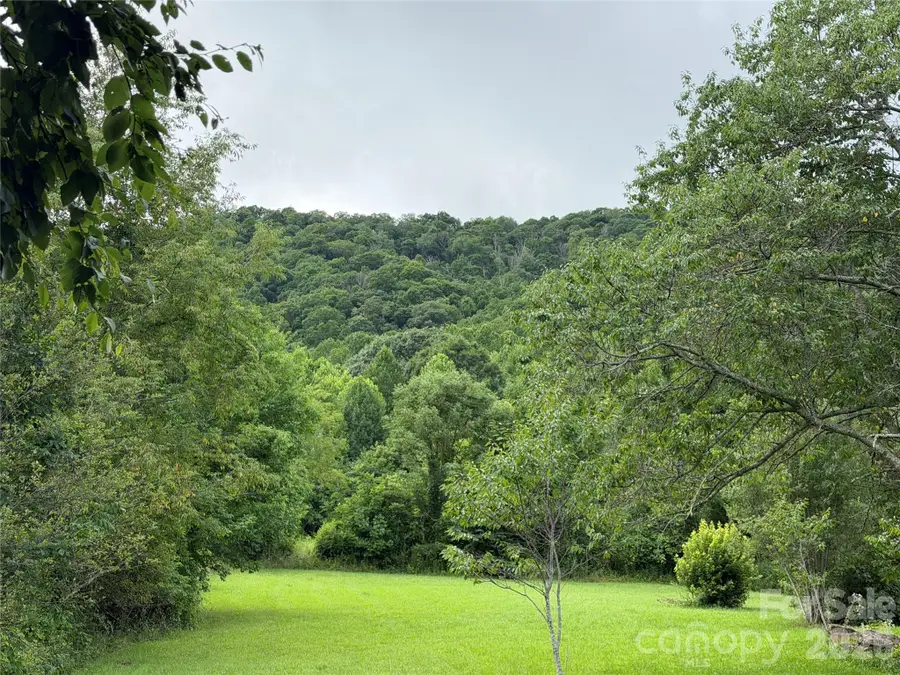 00 Trillium Way, Clyde, NC 28721 - #2