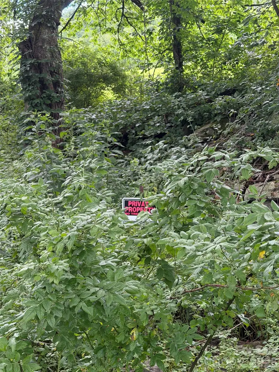 00 Trillium Way, Clyde, NC 28721 - #3