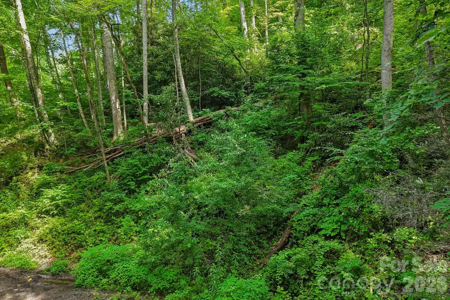 TBD Indian Falls Road, Asheville, NC 28803 - #2