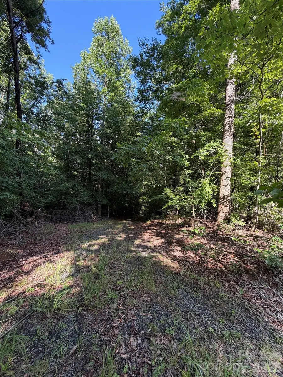 0 Greenhill Farms Drive #15, Rutherfordton, NC 28139 - #2