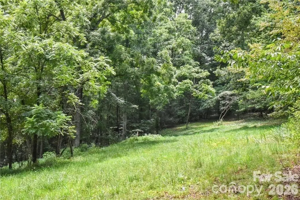 19 Laurel Loop Road, Fairview, NC 28730 - #1