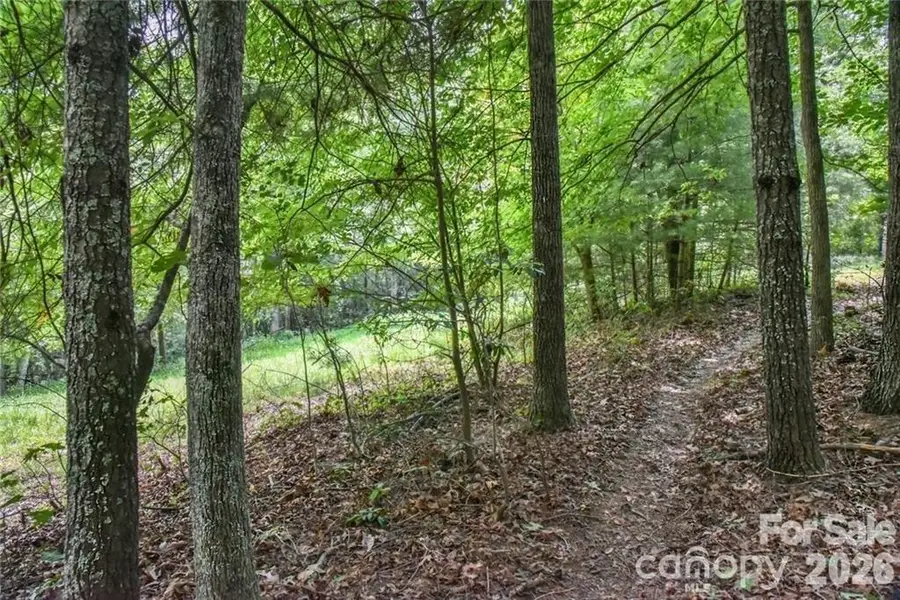 19 Laurel Loop Road, Fairview, NC 28730 - #3