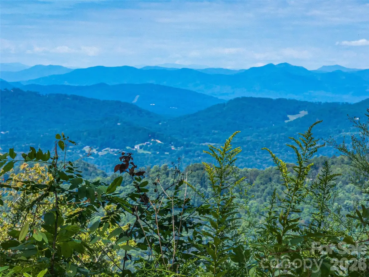632 Justus Case Mountain Place, Hendersonville, NC 28792 - #1