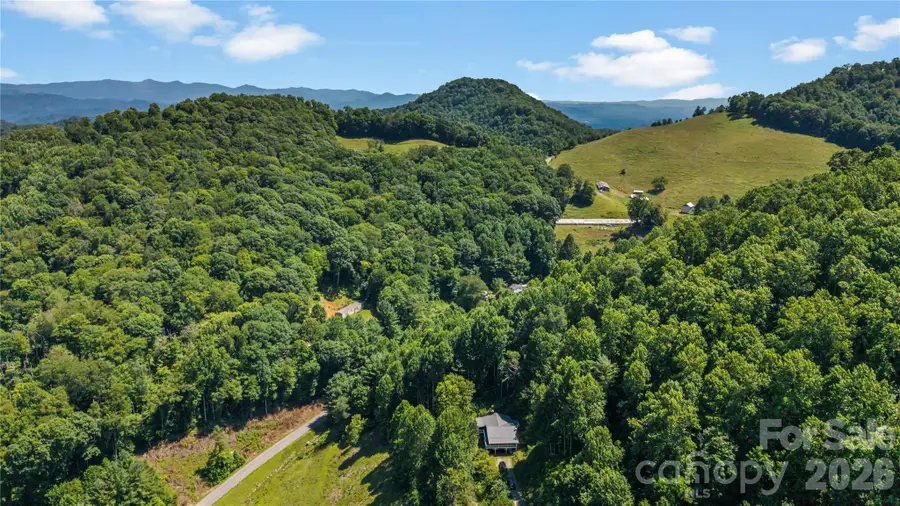 2879 Chandler Creek Road, Mars Hill, NC 28754 - #3