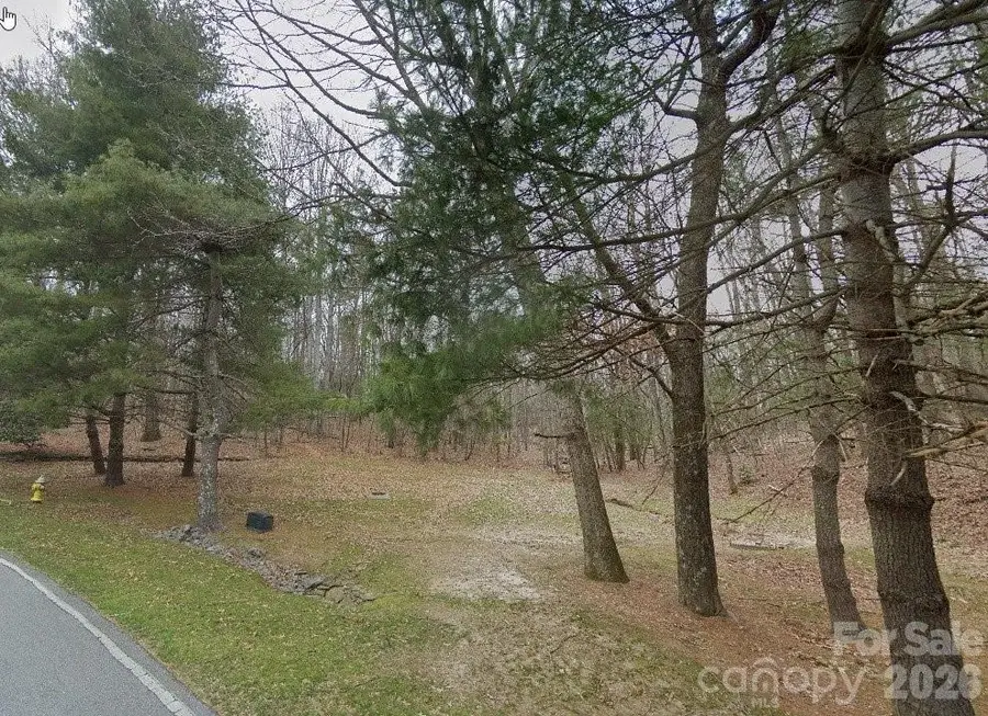 1008 Indian Cave Road, Hendersonville, NC 28739 - #2