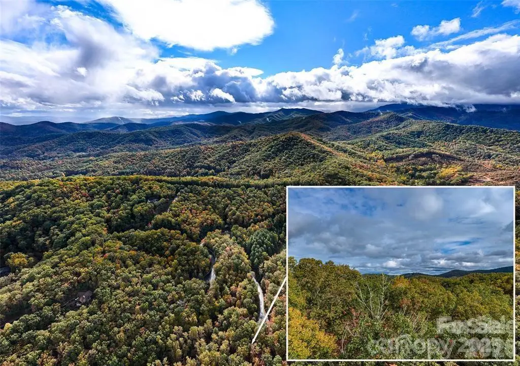 99999 Caddis Lane #91, Horse Shoe, NC 28742 - #1