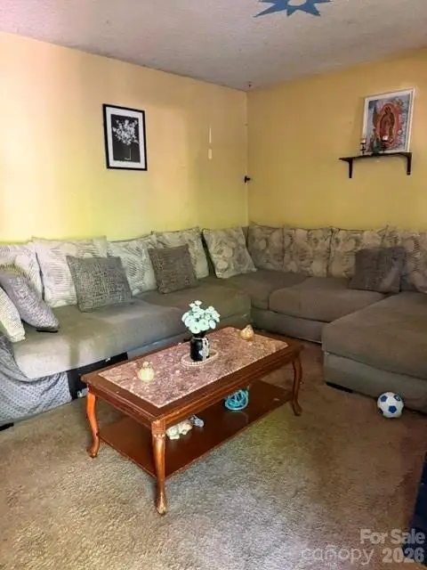1131 Echo Glen Road, Charlotte, NC 28213 - #3