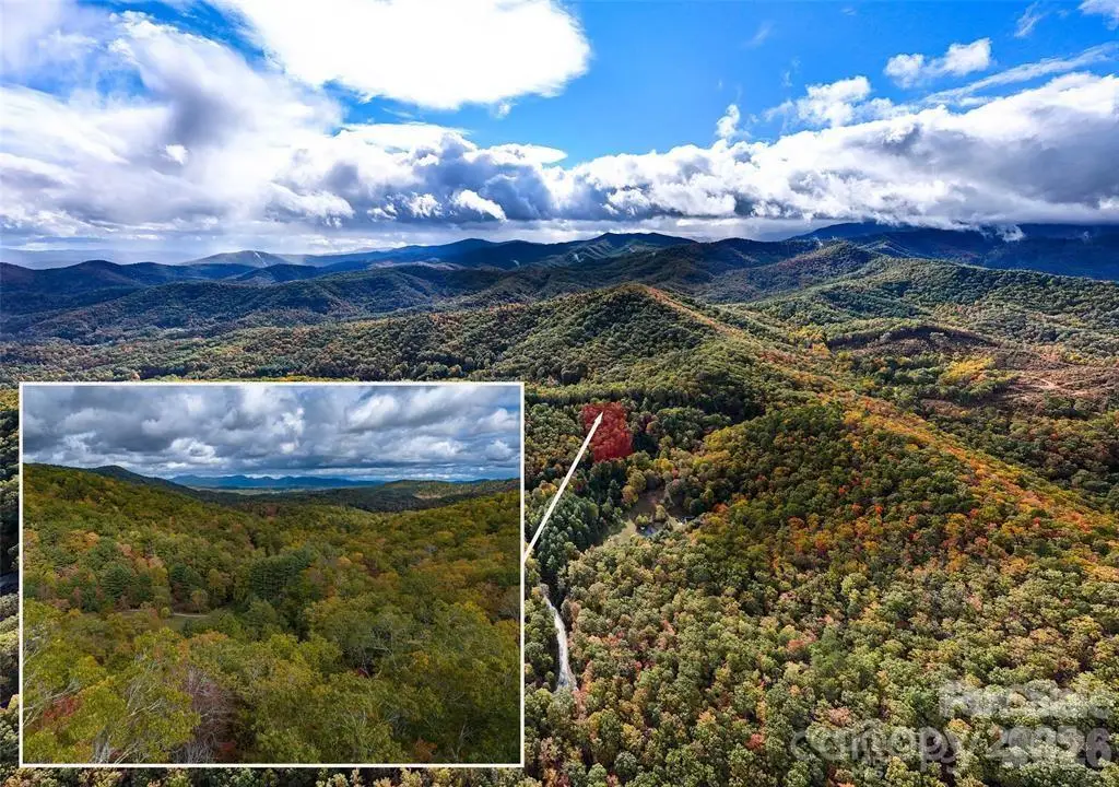 99999 Mills River Way #Lot 107, Horse Shoe, NC 28742 - #1