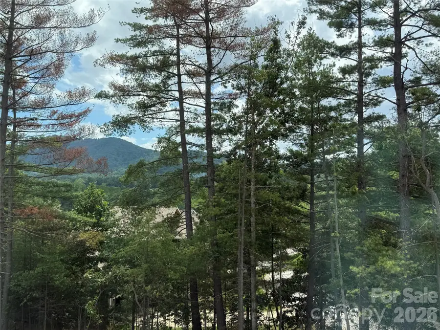 234 Smokey Holler Drive, Asheville, NC 28803 - #2