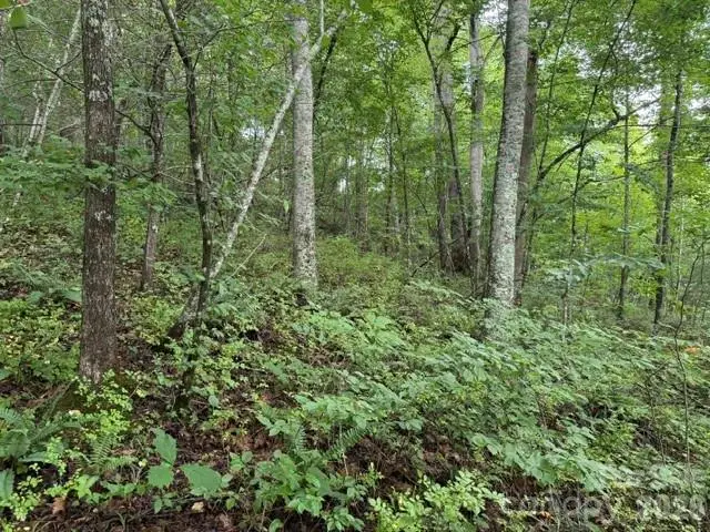 TBD Meadow Fork Road, Hot Springs, NC 28743 - #2