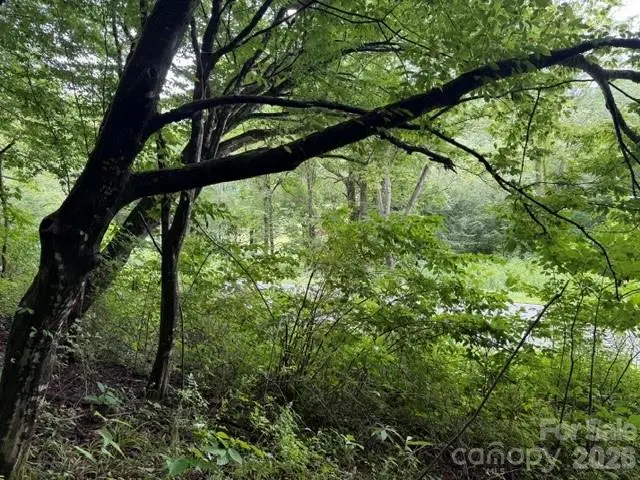 TBD Meadow Fork Road, Hot Springs, NC 28743 - #3