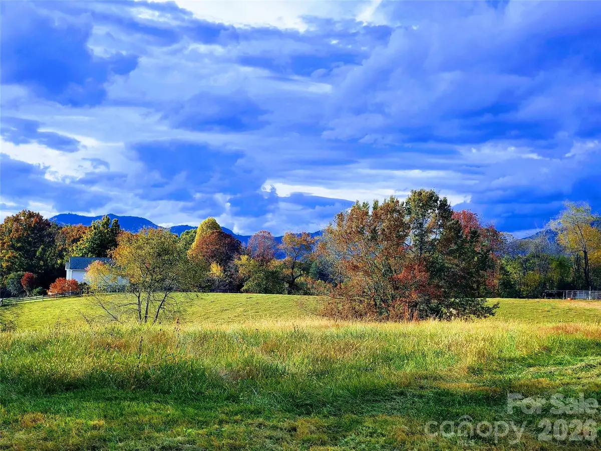 1686 Dutch Cove Road, Canton, NC 28716 - #1