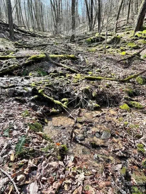 106 Avalon Gap Trail, Waynesville, NC 28785 - #1