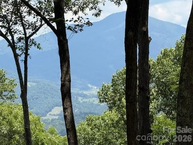110 Cabin Ridge #110, Waynesville, NC 28785 - #2