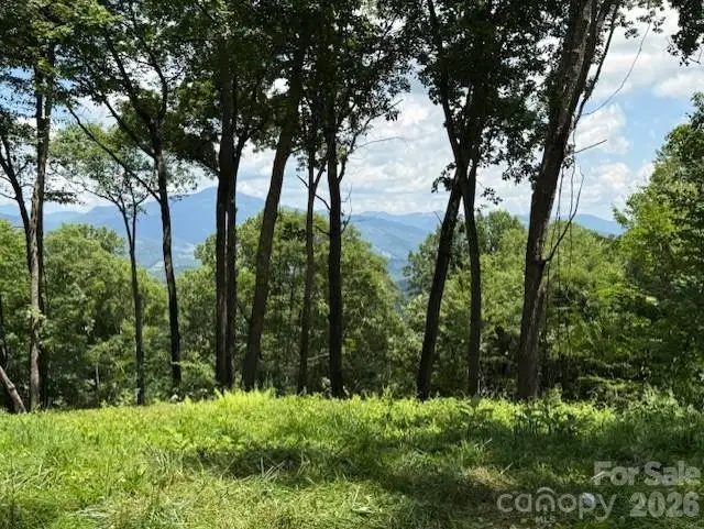 110 Cabin Ridge #110, Waynesville, NC 28785 - #3
