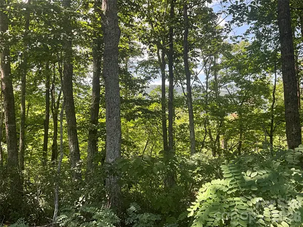 Lot 67 Treetops Lane, Lake Lure, NC 28746