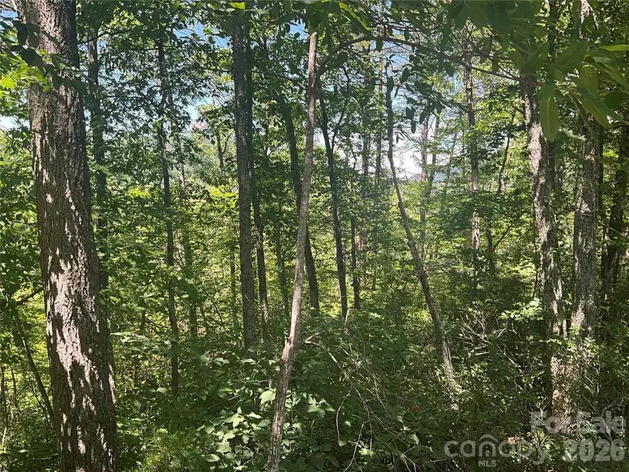 Lot 67 Treetops Lane, Lake Lure, NC 28746 - #2