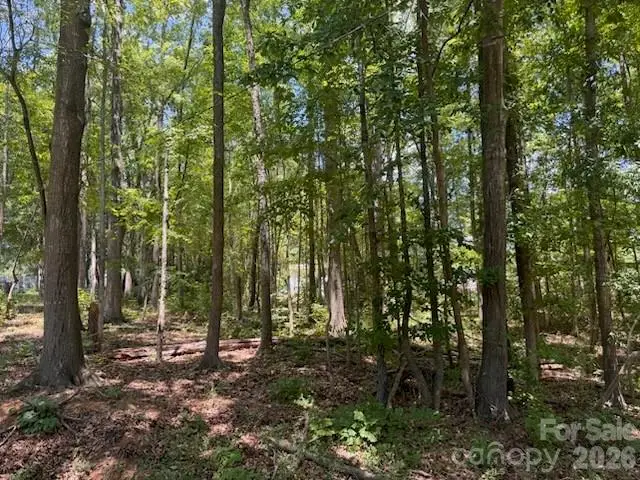 00 Twin Lane, Lancaster, SC 29720 - #3