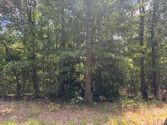 00 Nope Lane, Lancaster, SC 29720 - #2