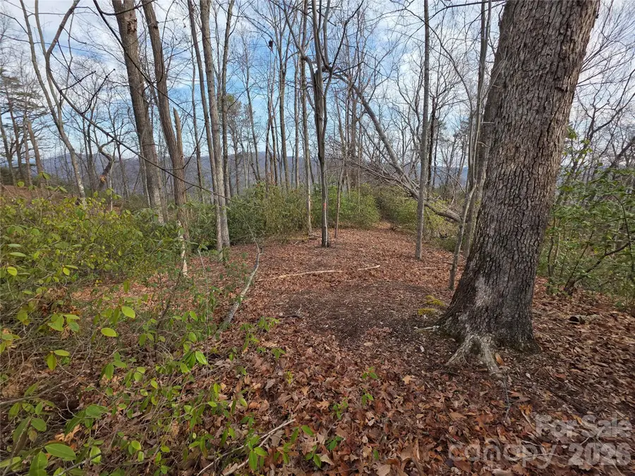 Lot 45 Ridgecrest Drive, Lake Lure, NC 28746 - #2