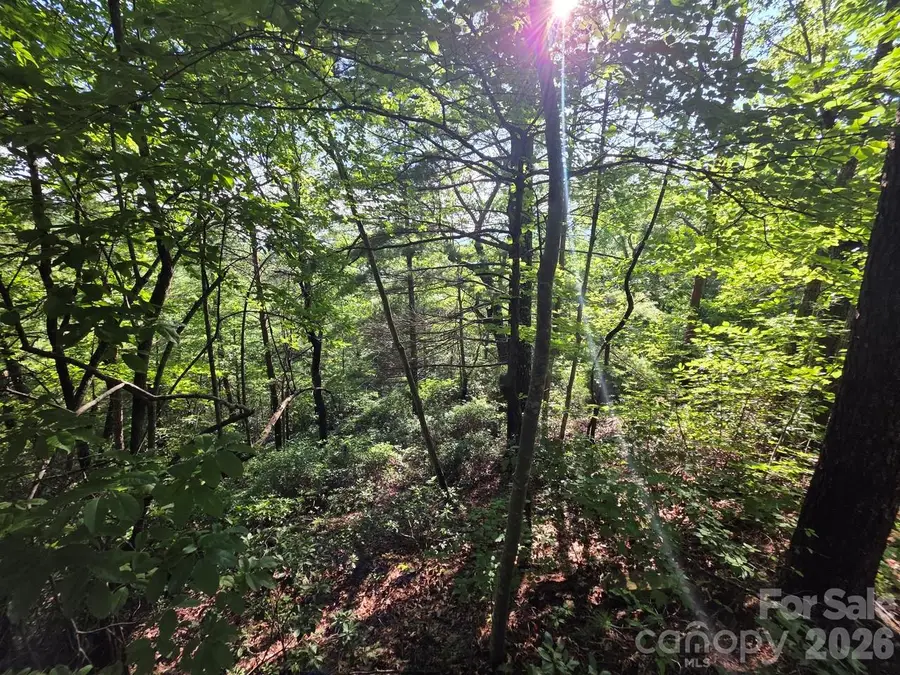 Lot 72 Fawn Lane, Marion, NC 28752 - #2