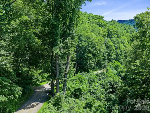 0000 Deep Gap Road, Burnsville, NC 28714