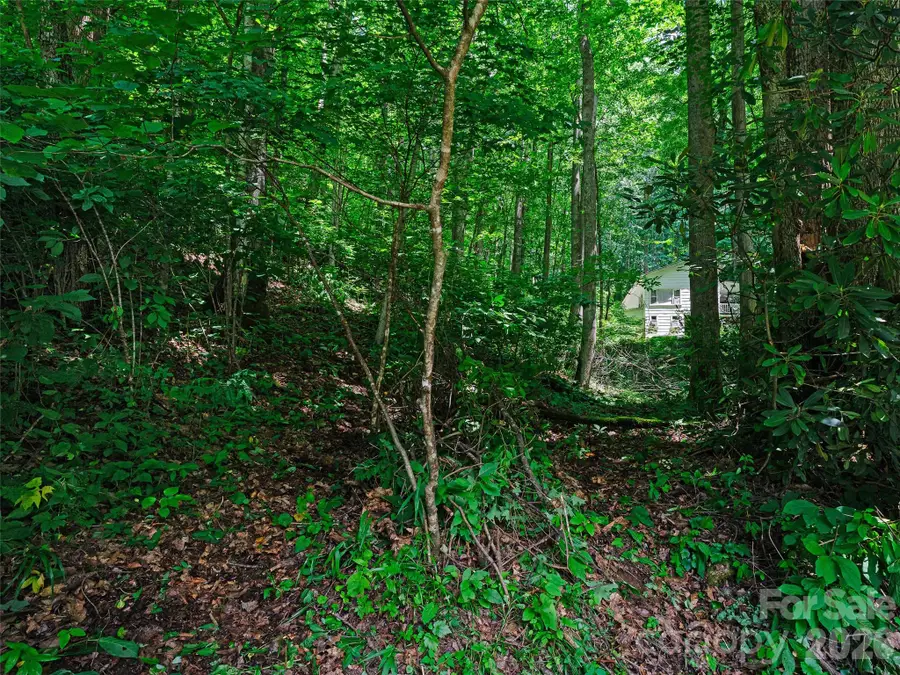 0000 Deep Gap Road, Burnsville, NC 28714 - #3