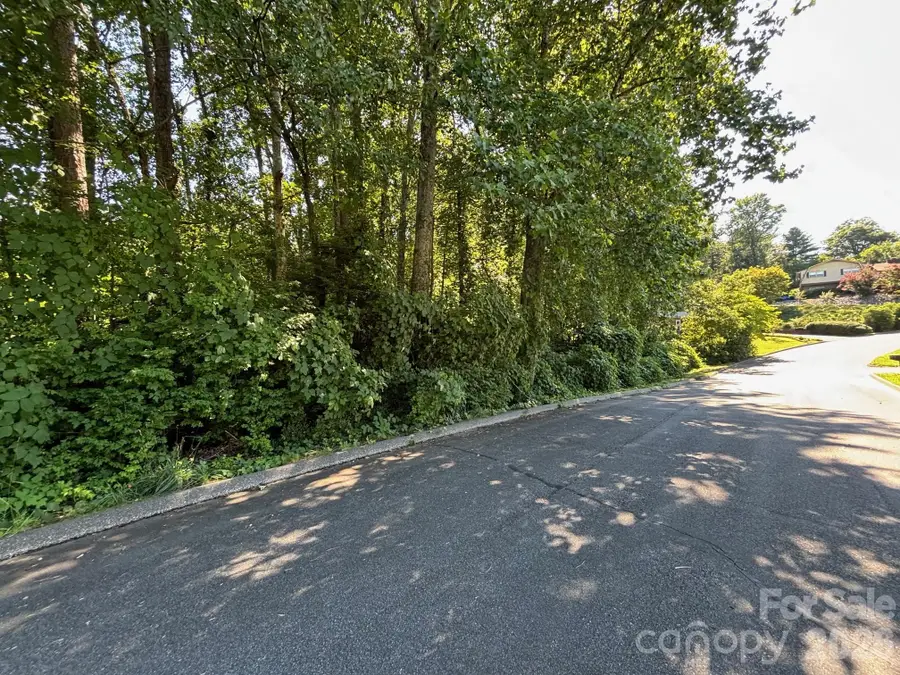 V/L Woodland Drive #10, Marion, NC 28752 - #2