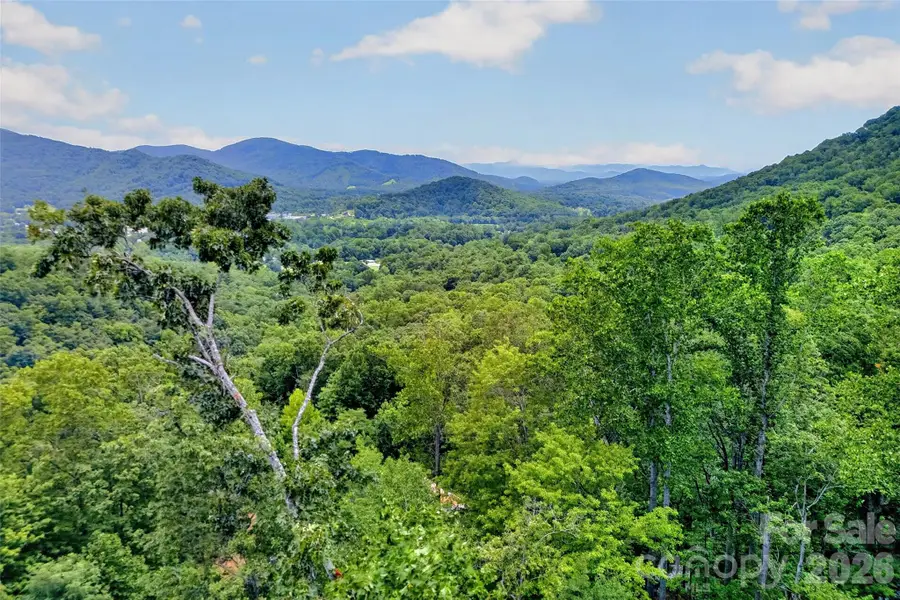 32 Nellie Bell Lane, Swannanoa, NC 28778 - #2