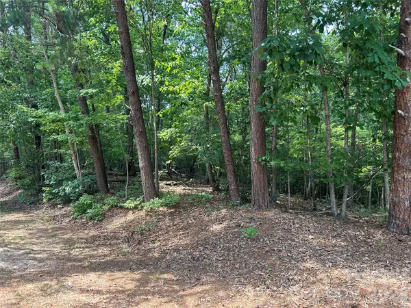 111 Peach Drive #333, Troy, NC 27371