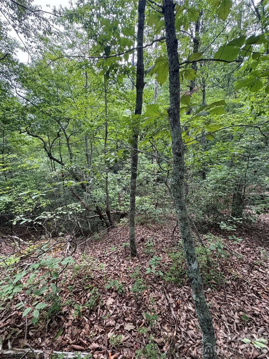 0 Raven Boulevard, Lake Lure, NC 28746 - #2