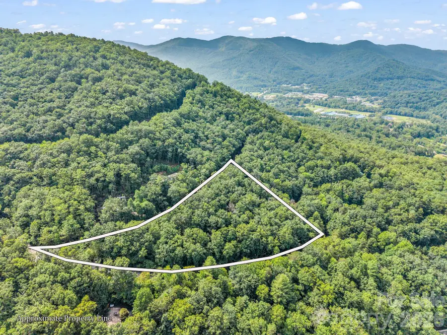 99999 Harrison Hill Road #15, Swannanoa, NC 28778 - #2