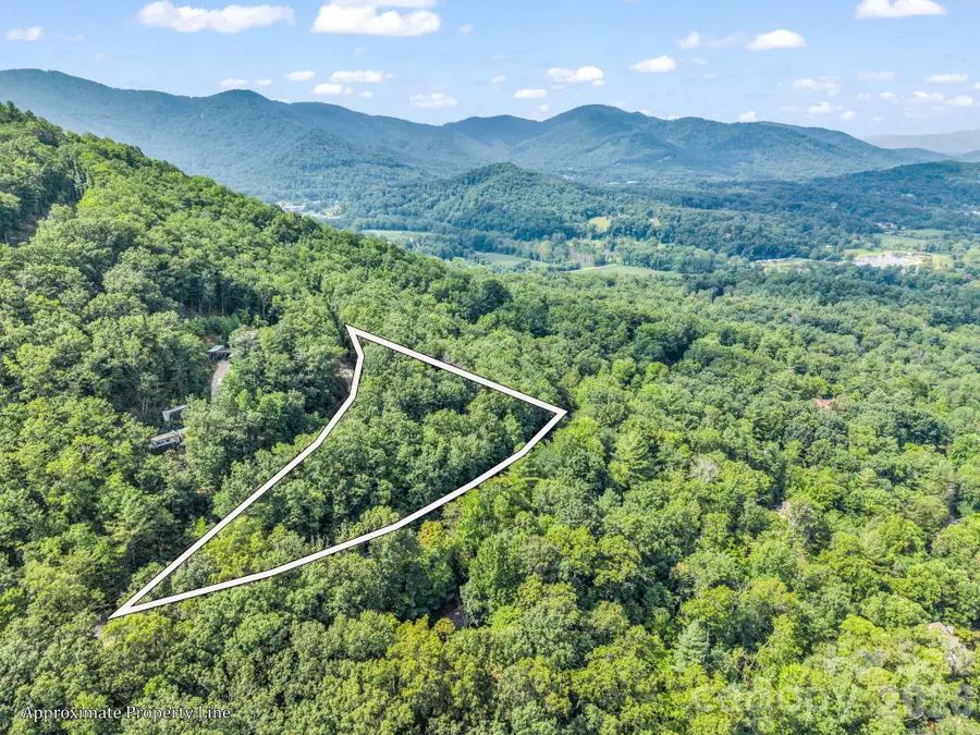 99999 Harrison Hill Road #15, Swannanoa, NC 28778 - #3