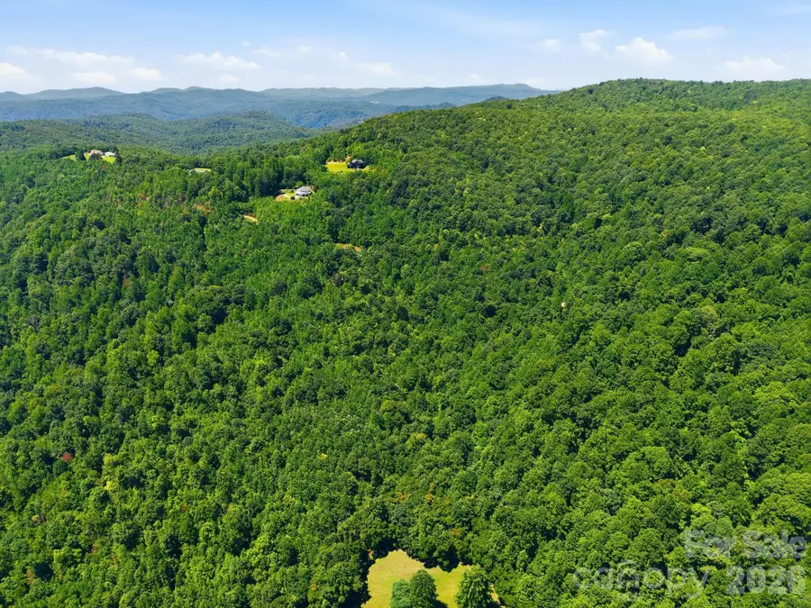 1802 Off Sr None, Saluda, NC 28773 - #3