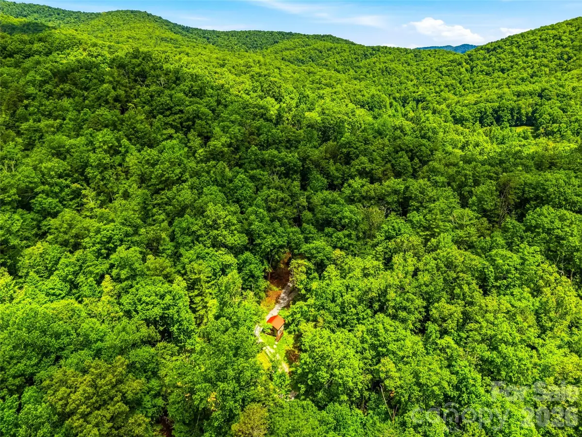 45 Watagnee Trail, Horse Shoe, NC 28742 - #1