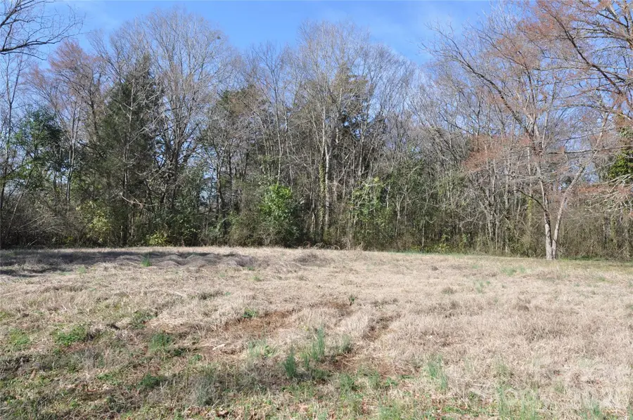 219 Peyton Street, Chester, SC 29706 - #3