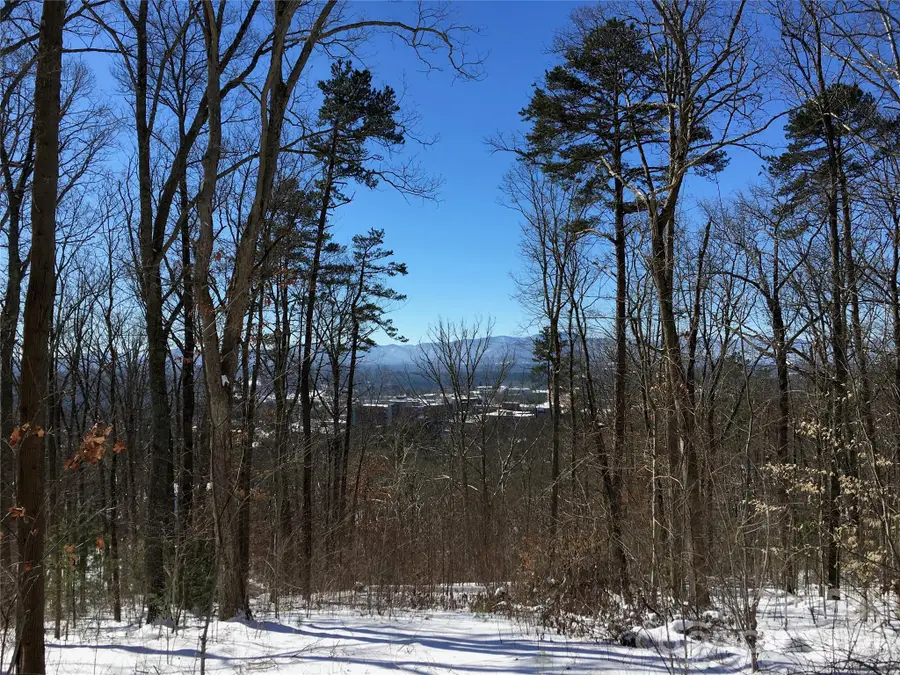 28 Samuel Ashe Drive, Asheville, NC 28805 - #2