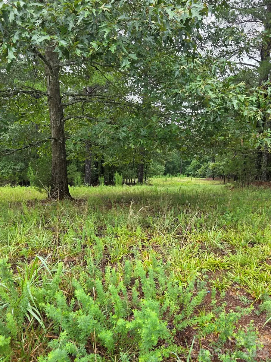 283 Rivercliff Drive, Stony Point, NC 28678 - #3