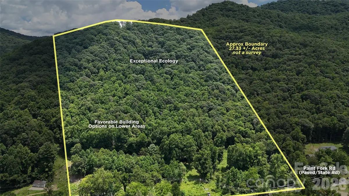 TBD Paint Fork Road, Barnardsville, NC 28709 - #1