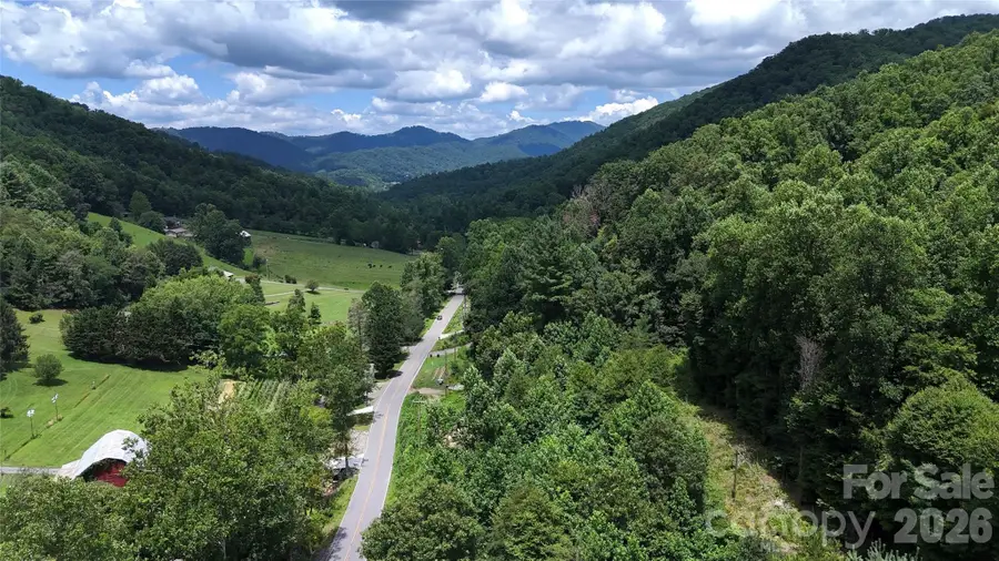 TBD Paint Fork Road, Barnardsville, NC 28709 - #2
