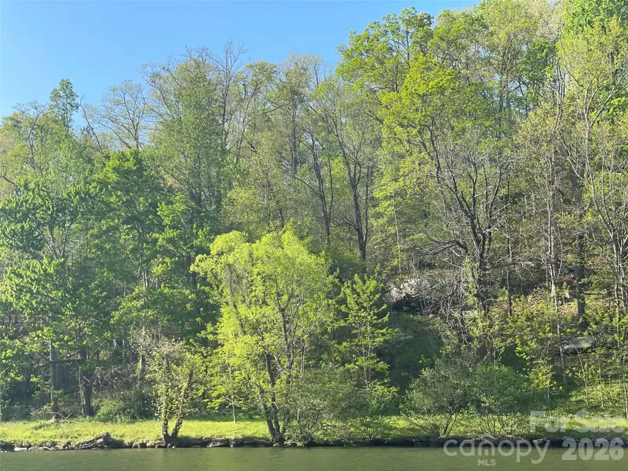 149 Sheridan Lane, Lake Lure, NC 28746 - #2