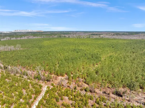 931 Charlie Johnson Road #4, Kershaw, SC 29067