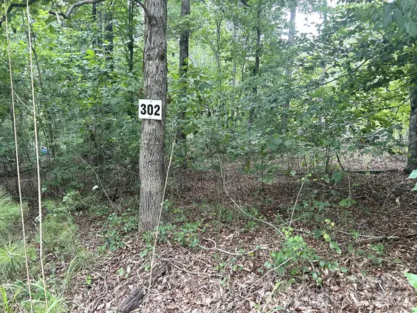00 Bitteroot Circle #302, Rutherfordton, NC 28139